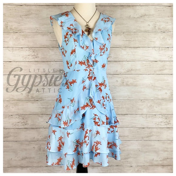 Little Blue Autumn Cottagecore Dress - Picture 5 of 6